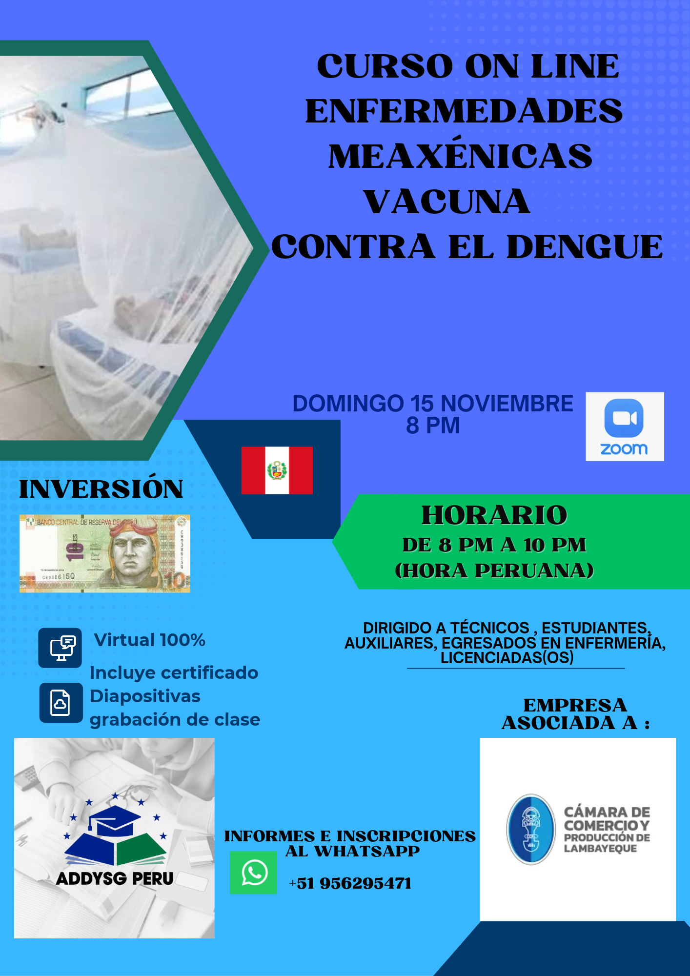 ENFERMEDADES METAXÉNICAS, VACUNA CONTRA EL DENGUE